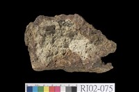 藏品(矽化安山岩)的圖片